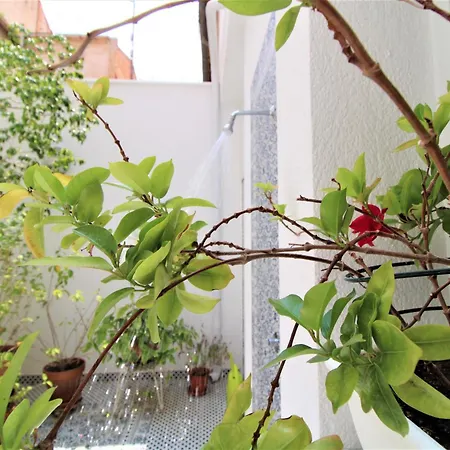 El Patio * アリカンテ